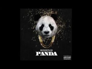 Panda Latest Song Download - Naa Songs - Naa Songs