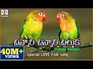 Chinnari Chinnari Chiluka Telugu Private Love Song Download Naa Songs